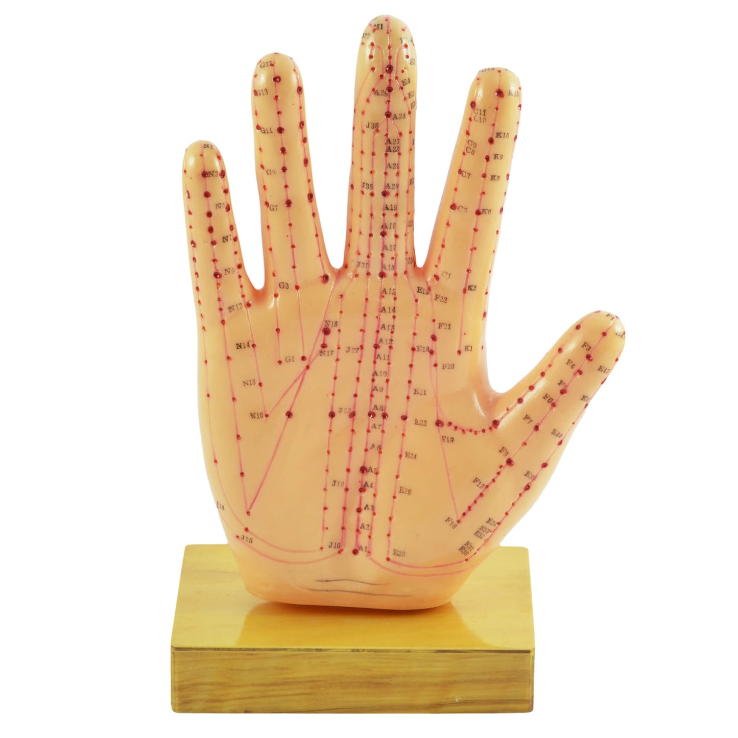 Hand model for KHT