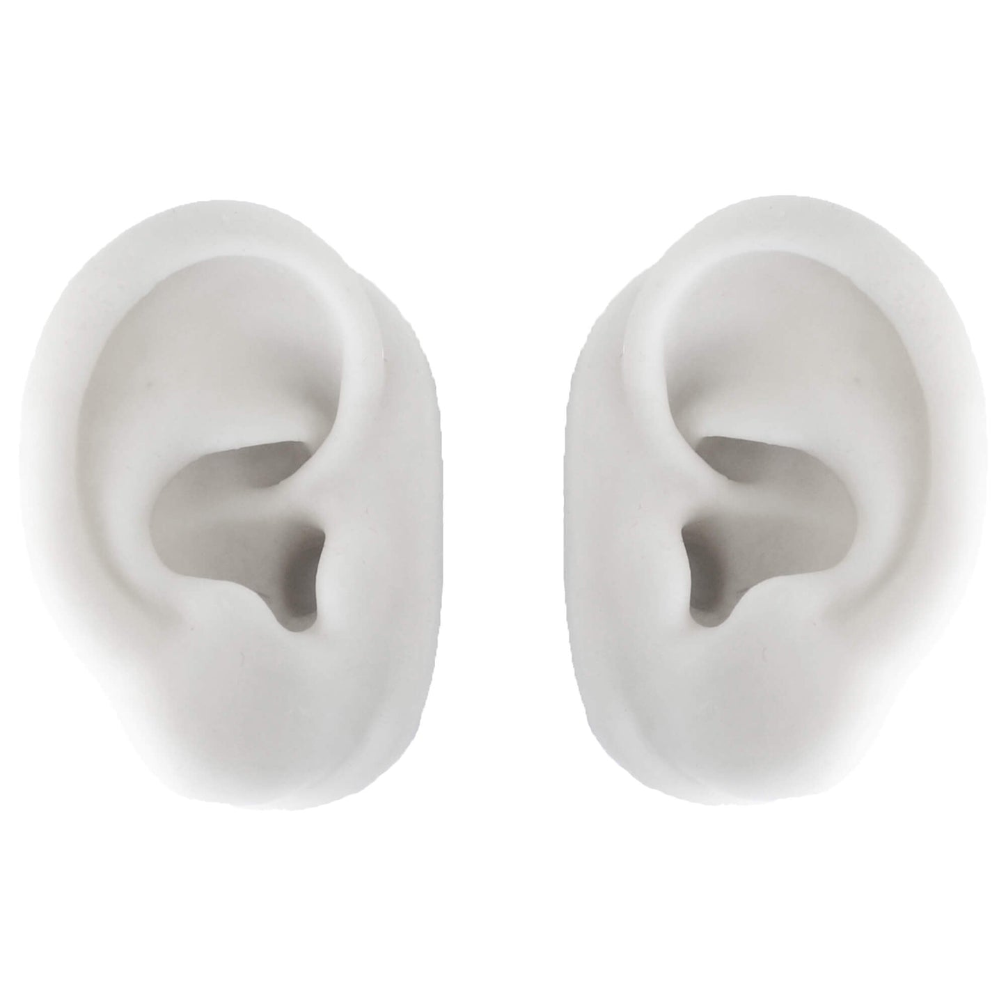 Ear model (pair) silicone white