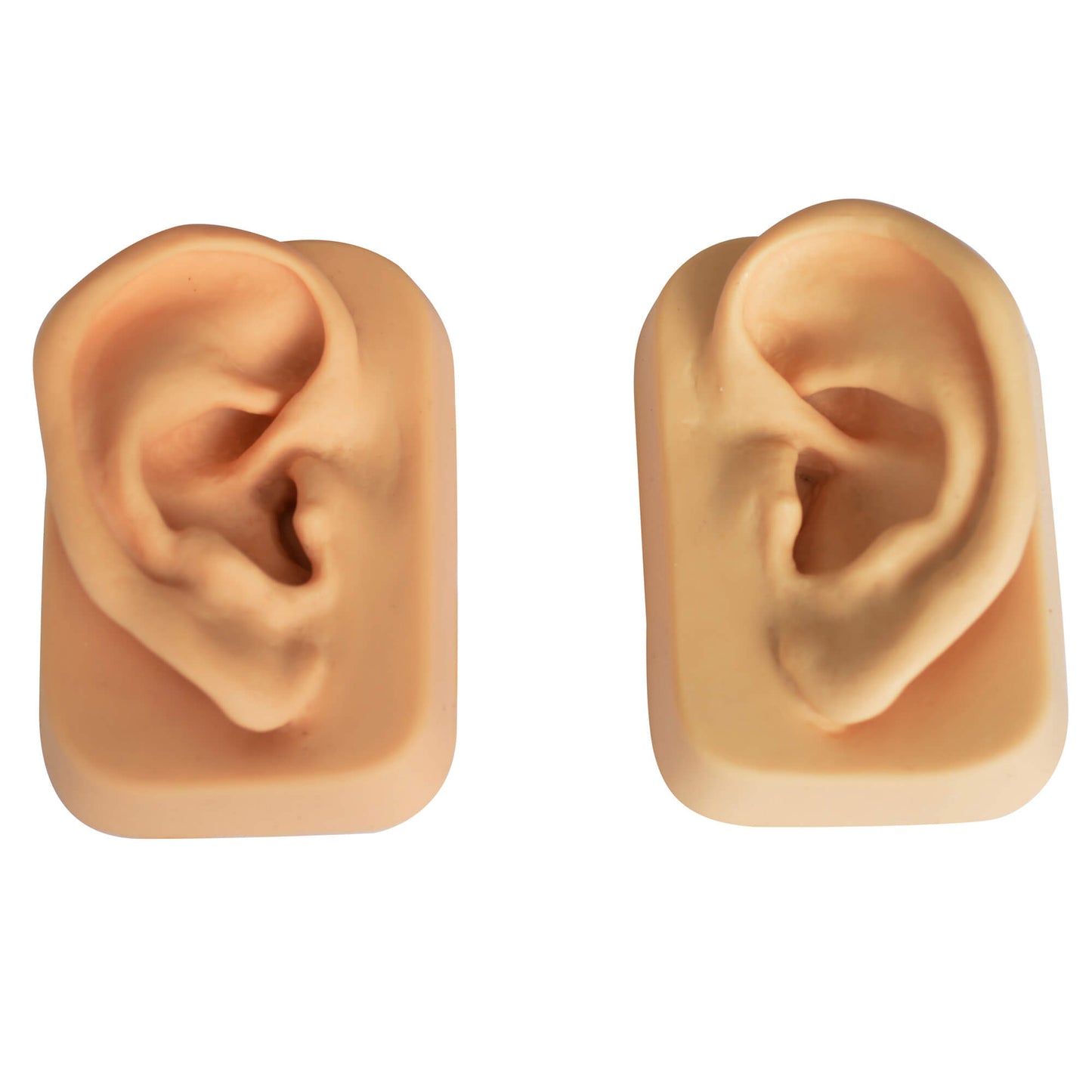 Ear model (pair) beige