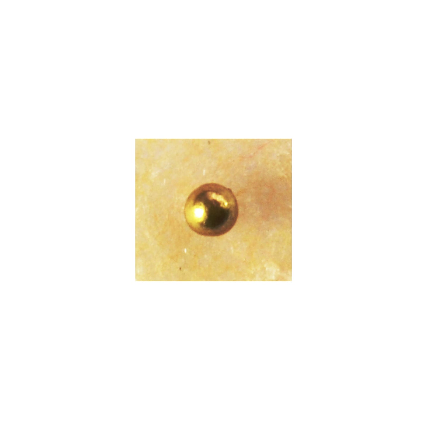 Magneetballetjes DongBang DBA425, gouden, 800 gauss