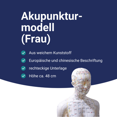 Akupunkturmodell (Frau)